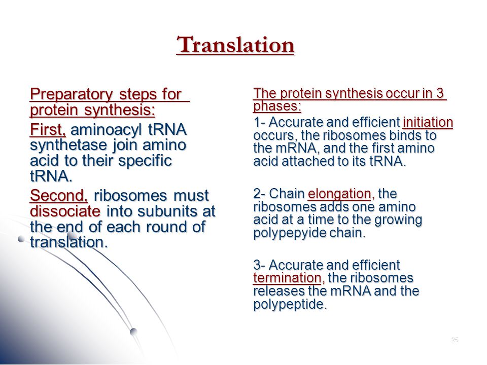 What Is The First Step Of Protein Synthesis